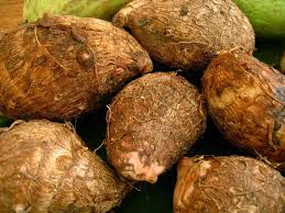 Fresh Yam